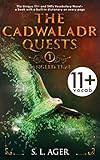 The Cadwaladr Quests (Book One: Tangled Time): 11+ Vocabulary (English Edition)