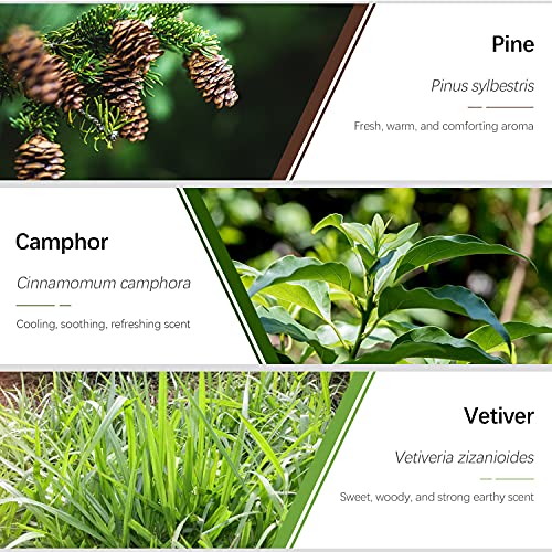 Woody Essential Oils, Esslux Premium Aromatherapy Gift Set with Pine, Camphor, Vetiver, Agarwood, Juniper Berry, Douglas Fir Essential Oils for Diffuser, Massage, Winter Home Fragrance, Candles Making