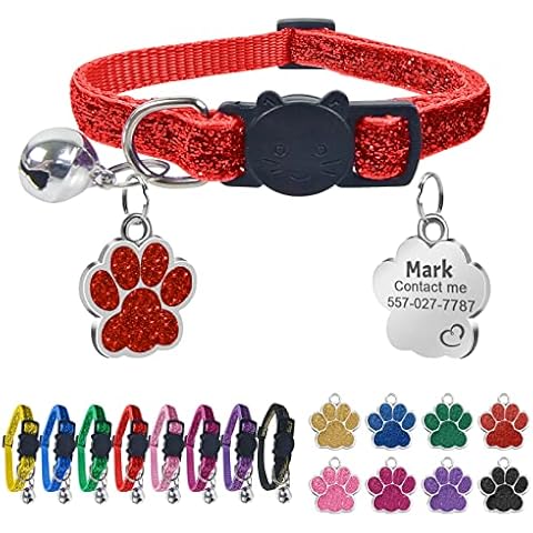Collier Chat Uiopa avec Médaille Gravée Cover