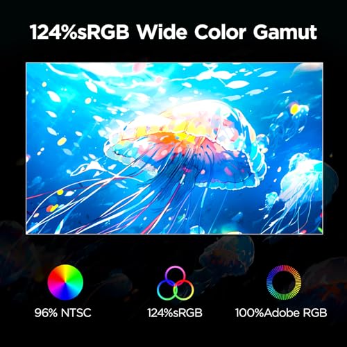 Professional Drawing Tablet with Screen 2K