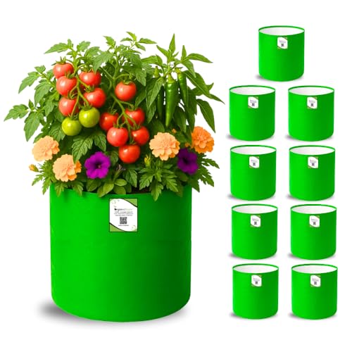 ORGANIC BAZAR 12×12 Grow Bags for Terrace Garden, Premium HDPE 260 GSM Green Planters for Vegetables, Flowers, and Indoor Outdoor Plants (Pack of 10) ORGANIC BAZAR 12×12 Grow Bags for Terrace Garden, Premium HDPE 260 GSM Green Planters for Vegetables, Flowers, and Indoor Outdoor Plants (Pack of 10)