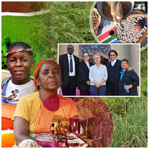 ACB&rsquo;s decade long litigation and victory challenging GMO decision-making in SA