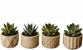Kit de 8 Vasinhos Decorativos de Gesso - Ideal para Cactos e Plantas Artificiais, para Mesa/Estante/Sala, Design Delicado(KIT 4 VASINHOS)