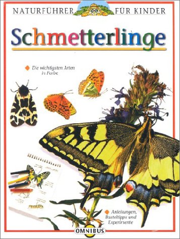 Schmetterlinge Schmetterlinge