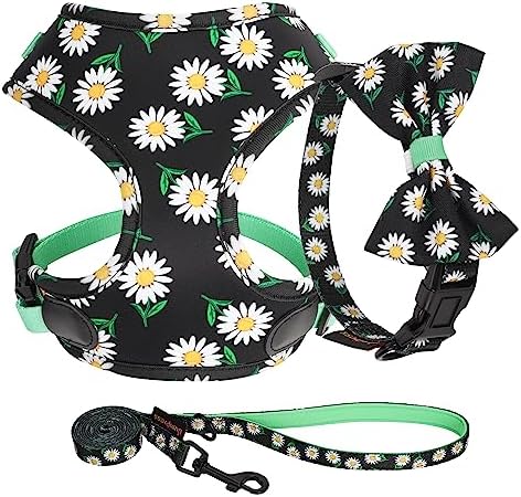 Cute Floral Small Dog Collars, Harnesses & Leashes Set – Soft Mesh Puppy Dog Vest Harness and Leash Set – Lightweight Dog Collar with Bow Tie for XS Small Medium Dogs Walking (Black,S)