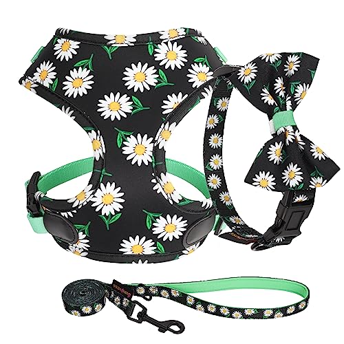 Cute-Floral-Small-Dog-Collars-Harnesses-Leashes-Set-Soft-Mesh-Puppy-Dog-Vest-Harness-and-Leash-Set-Lightweight-Dog-Collar-with-Bow-Tie-for-XS-Small-Medium-Dogs-Walking-BlackS