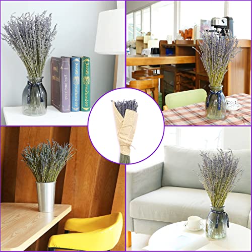 image for MIHUAGE Dried Lavender Flowers Bundles 100% Natural Real Dry Flower fo
