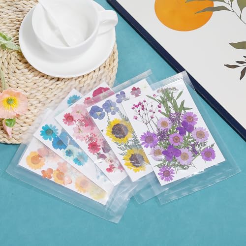 Flores Secas Prensadas NATURALES para Manualidades DIY miniatura 5