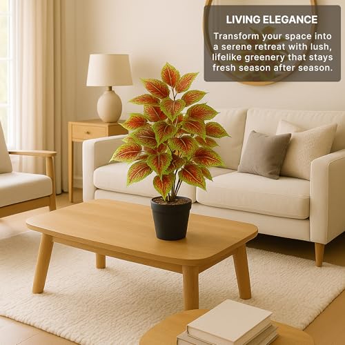 Image of Habere India-All the Cultures Fabricating India Artificial Plant with Pot for Home Decor | Fake Plants for Living Room Decoration | Artificial Plants for Decoration (Design 01; L21 x W21 X H39 cm)