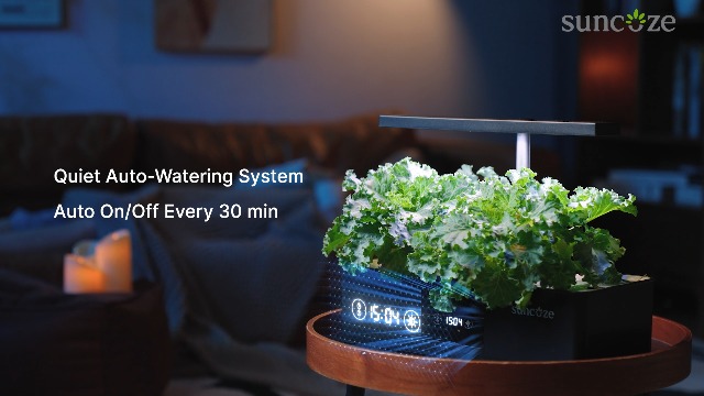 Amazon.com: SUNCOZE Hydroponics Growing System Kit with 24W