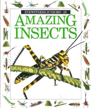 Paperback Amazing Insects (Eyewitness Juniors) Book