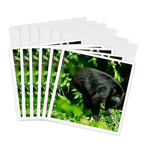 Cartes de vœux singe Alouatta Palliata Mexicana 3dRose Gc_258485_1 lot de 6