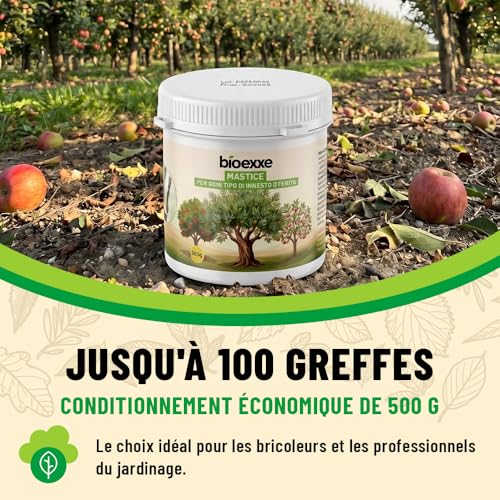 BIOEXXE Cicatrisant Arbre à Base de Résines Végétales - Mastic de Cicatrisation pour Arbres Fruitiers, Pâte de Recouvrement pour Tronc et Écorce, Application au Pinceau 500 gr - Made in Italy – vue 6