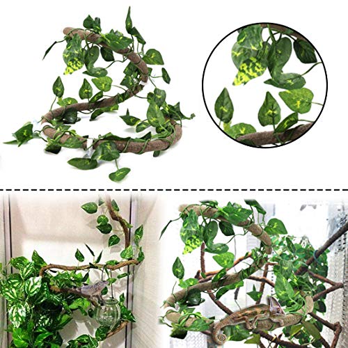 PINVNBY Bearded Dragon Tank Accessories,Lizard Habitat Hammock Reptile Natural Coconut Shell Cave Jungle Climber… - Image 6