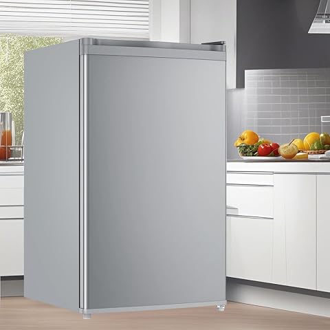 dainslef 4.3 cu ft Compact Freezer