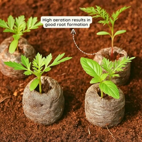 Image of Bombay Greens Organic Netted Cocopeat Coir Discs Seeds Germination pellets Coin Seedling Tray for Plants Indoor and Outdoor Gardening - Pack of 100 Coco Discs