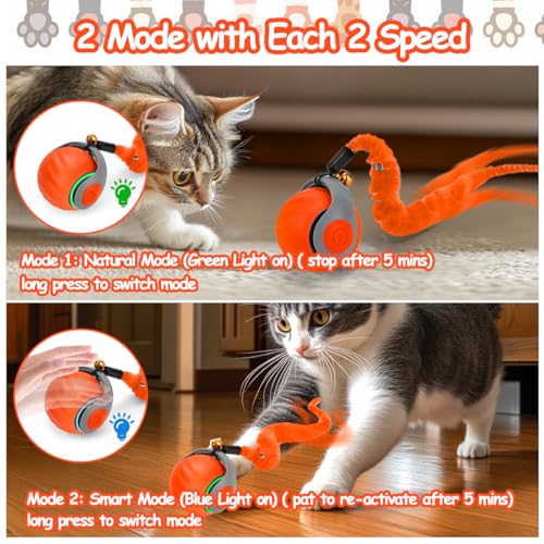 Image of Mity rain Interactive Cat Toy Ball, Rechargeable Cat Toys for Indoor Cats | with Feather Tails for Kittens Chasing, Motion Activated Ball for Enrichment, Automatic Rolling Toys to Keep Them Busy Orange
