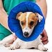 PACASSO New Soft Cone Inflatable Recovery Collar for Dogs 6.3''-10'' Neck Circumference Adjustable Inflatable Soft Protective Pet Collar Recovery Cone E-Collar for Medium Dogs and Puppy of Large Dogs