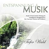 Palm-Records (Da Music)