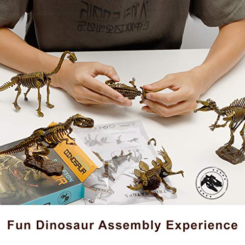 6 Pcs Dinosaur Skeletons, Assembly Dinosaur Toys For Boys And Girls, 3D Puzzle Dinosaur Model For Kids Age 6+ Dinosaur Gift, Festival Gift, Dinosaur Theme Party, Birthday Gift (3 Boxes Of Two Each) #TOP5