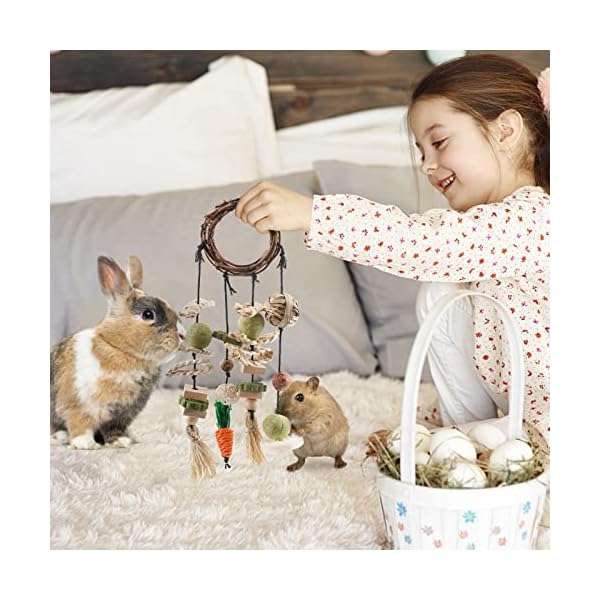 ERKOON Kaninchen Spielzeug, Rabbit Toy Kaninchenspielzeug Beschäftigung,Hasen zubehör Käfig Hängende Kauspielzeug, Hamster, Meerschweinchen – Bild 3