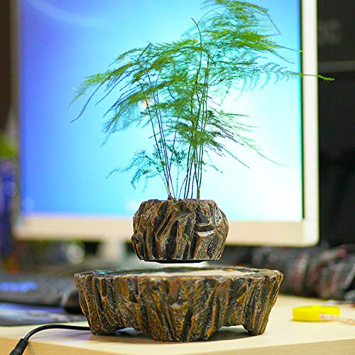 Maceta De Bonsai De Aire De LevitacióN MagnéTica, DecoracióN De Esc