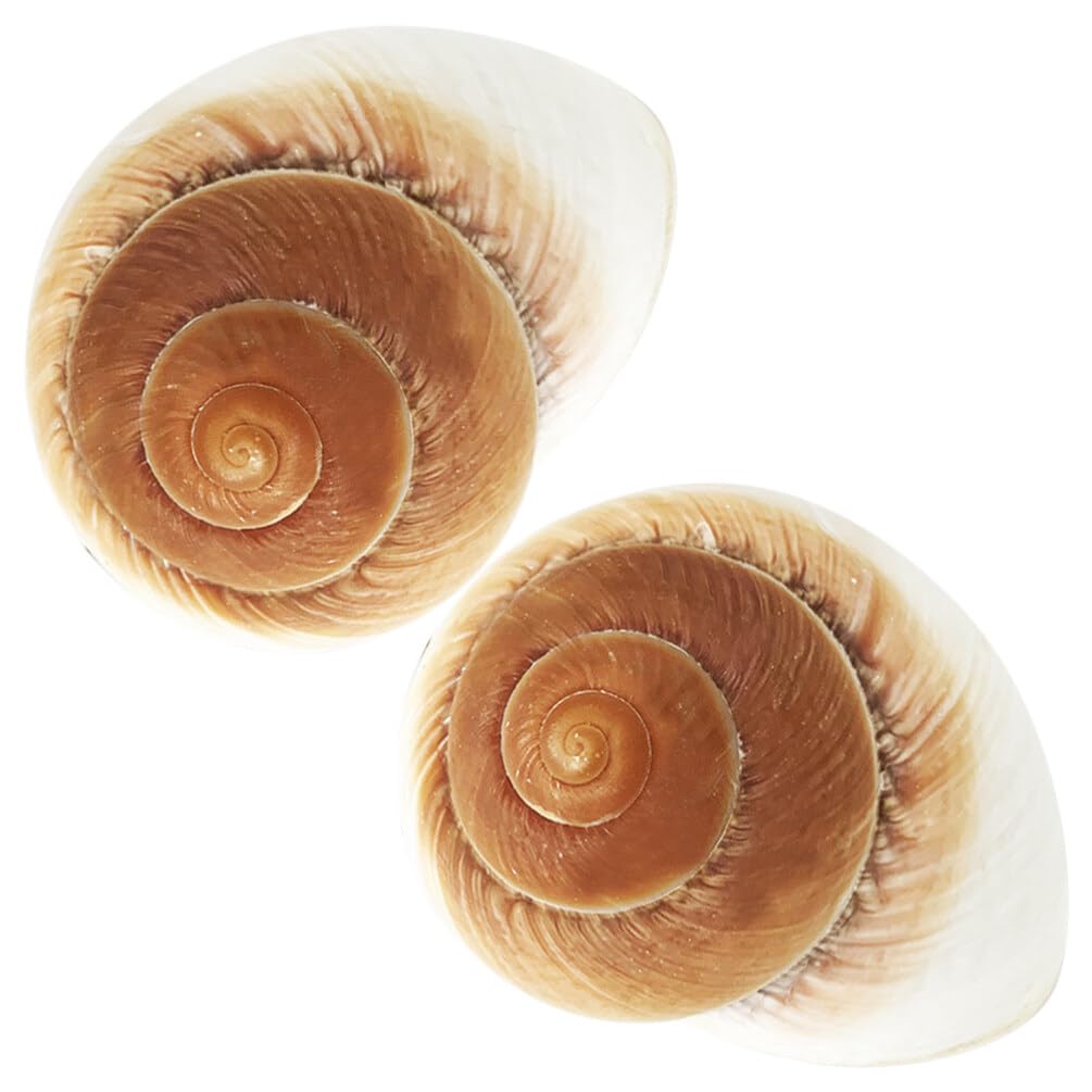 Yardwe 2pcs Bed Room Decor Decoration for Bedroom Conch Decorations Seashell Ornament Shells Aquarium Conch Adorn Desktop Conch Adorn Delicate Ornaments Crafts Decorate Conch