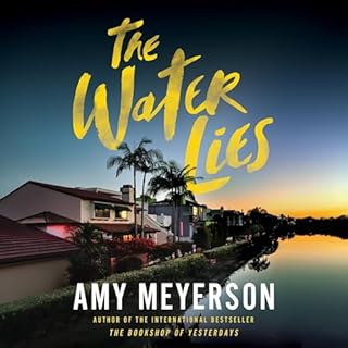 The Water Lies Audiobook By Amy Meyerson cover art