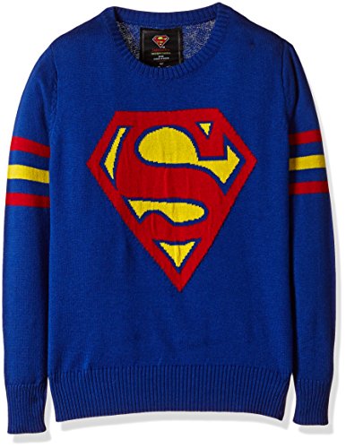 Superman Boys' Sweater