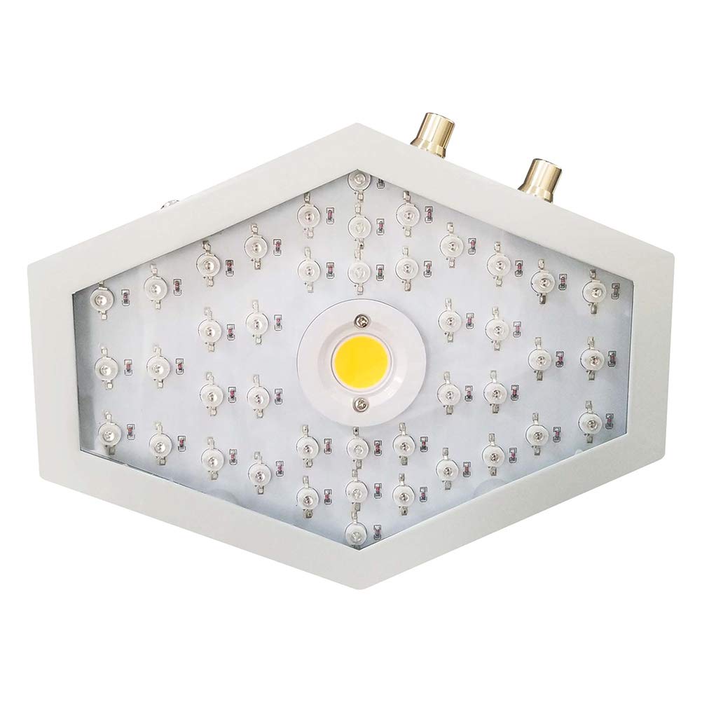 1000W LED Grow Lights Full Spectrum for Indoor Plants Veg&Flower and Horticulture Greenhouse Soil Hydroponics