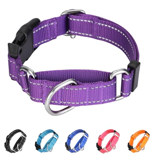 BXPAW Martingale Collar for Dogs,Reflective Martingale Dog Collars with Quick Release Buckle,Adjustable Nylon No Pull Dog Collar for Walking Training(Purple, Large)