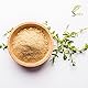 SVATV Kräuter-Brahmi-Pulver | Bacopa-Pulver | Natürliches Kräuterpulver für Hautpflege, Haarpflege und Getränke | Ayurvedische Kräuter für Smoothie, Kaffee, Saft | 227 g, 0,5 Pfund