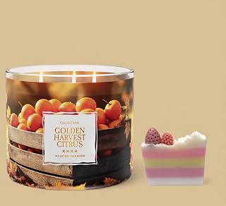 Goose&Creek Golden Harvest Citrus Scented Candle, 14.5 oz Soy Wax Blend, 3-Wick