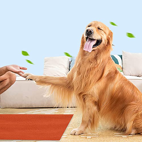 Image of Trance Waterproof Pet Training Pads | Reusable Pee Pad for Dogs Cats Puppy and Pets | Washable Pet Dry Sheet | Potty Trainer | Soft and Hypo-Allergenic (Medium, Size 1 x 0.7 m | 100 x 70 Cms, Brick Red)