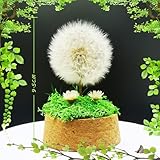 Zoom IMG-1 tongyixin idea regalo speciale riempitrice