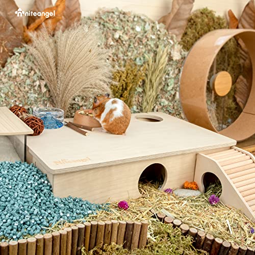 Niteangel Labirinto de casa de hamster multicâmara: esconderijos de vários cômodos e brinquedos de e