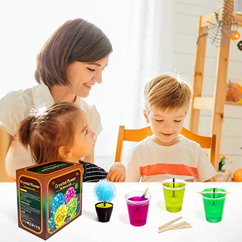 Gobidex Science Kits For Kids, Crystal Growing Kit-Crystals Grow Fast In 24 Hours, Stem Projects Learning & Education Toys Gift For Boys & Girls, Arts And Arafts For Kids Ages 6-8 8-12 #TOP5