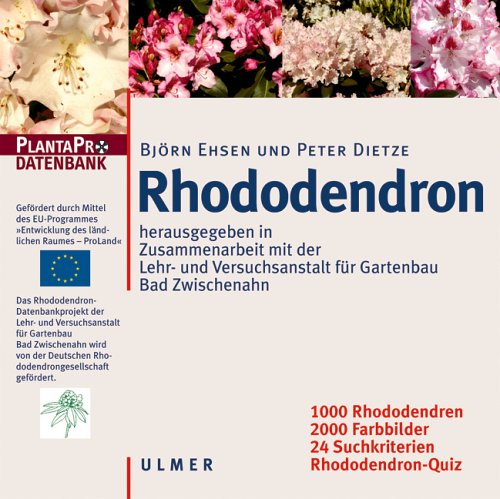 Preisvergleich Produktbild Rhododendron