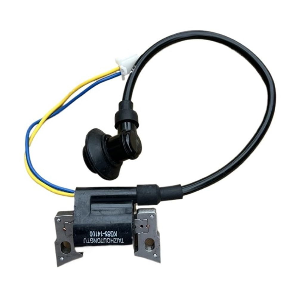 Bobine d'allumage camping et chantier pour Inverter IG1000 S