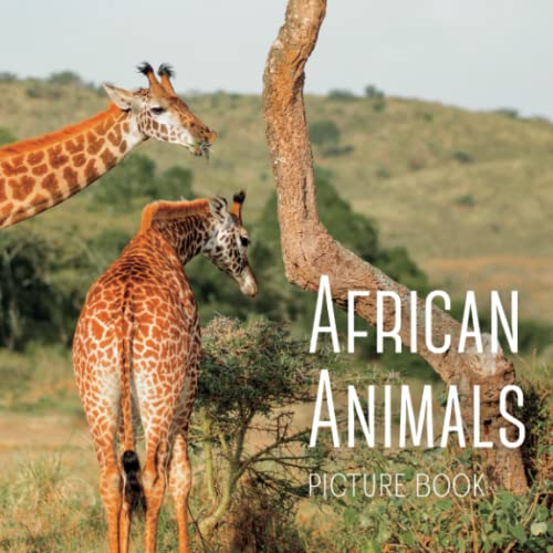 African Animals: Picture Book (Peach Tree Books: Picture Books)