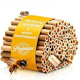 GARDIGO® Tubes en Bambou Premium pour Hôtel à Insectes   Lot de 300 | Tubes de Nidification en Bambou pour Abeilles Sauvages | Bords Nettoyés | Accessoire de Remplissage pour Maison à Insectes