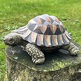 Animal Crackers Figurine de tortue réaliste pour décoration de maison ou de jardin, longueur 20 cm, coffret cadeau