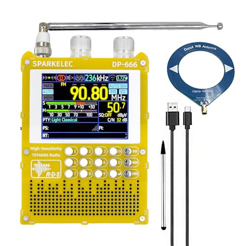 Radio DSP Full Band DP-666 2.8 pulg Pantalla color 5000mAh