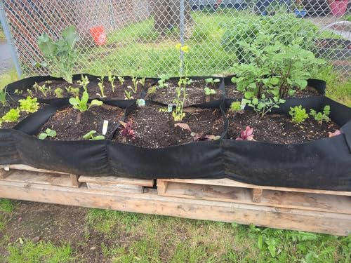 POILKMNI 232 Gallon Thickened Fabric Raised Garden Bed, Large 8x4x1ft Garden Grow Bed Bags for Growing Plants, Vegetables, Flowers and Herbs, Black by POILKMNI - Image 5