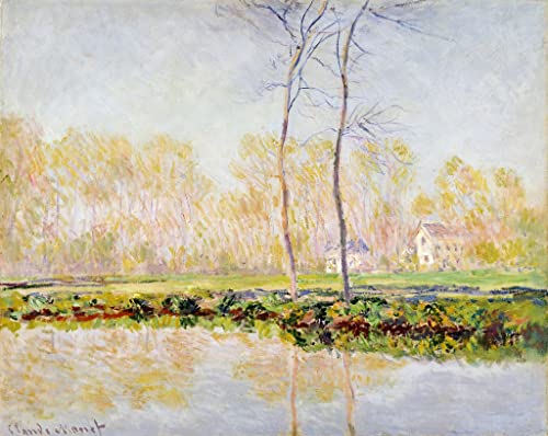 Toile Monet 60x90cm pour habiller un grand mur de salon vide