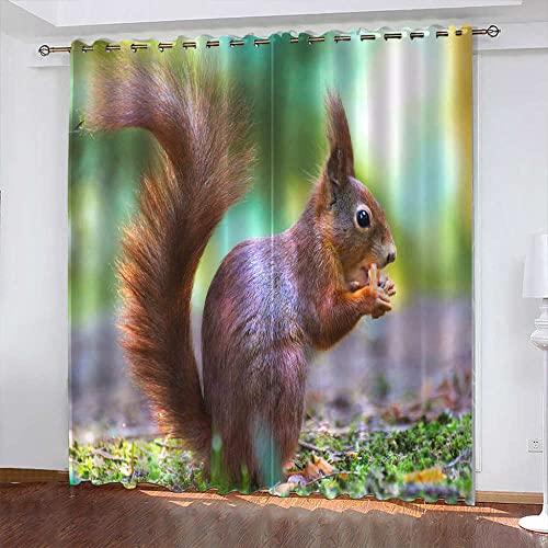 LWXBJX Blickdicht Vorhang für Schlafzimmer - Grau Eichhörnchen Tier - 3D Druckmuster Öse Thermisch isoliert - 150 x 166 cm - 90% Blickdicht Vorhang für Kinder Jungen Mädchen Spielzimmer Cover