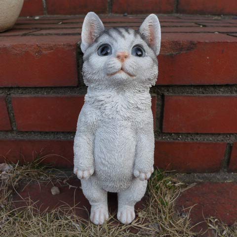 Amazon.co.jp: 猫の置物 子猫立ポーズきおつけ 75QY キャット