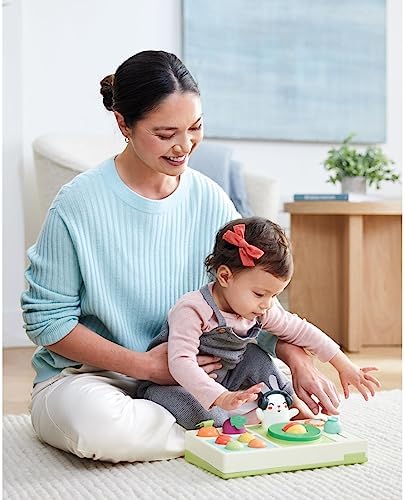 Skip Hop Baby Musical DJ Set Toy with Lights, Songs, Sound Effects, and Soft Textures, Farmstand Let The Beet Drop DJ Set — view 3