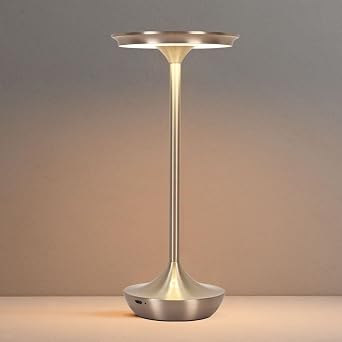 LED Cordless Table Lamp Rechargeable,Portable 6000mAh Battery Outdoor Bedside Table Lamps,3 Color Stepless Dimming Touch Battery Powered Lamp, Table Light for Restaurant/Patio/Camping/BedroomSilver