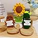 ailov 10 Pack Positive Affirmation Veggie Sunflower Crochet, Mini Emotional Support Plush, Thank You Appreciation Gifts in Bulk for Employee Coworkers Teacher